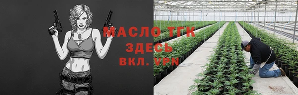 2c-b Вяземский