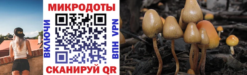 Галлюциногенные грибы прущие грибы  Заречный 