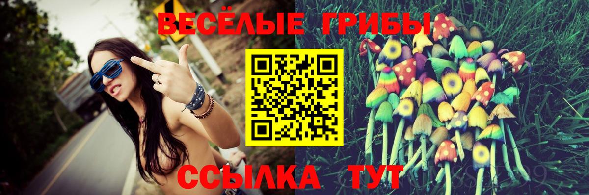 Псилоцибиновые грибы мухоморы  Галлюциногенные грибы Psilocybe  Заречный  Вход с VPN 